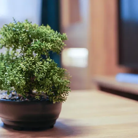 Velka Apartmán Poprad